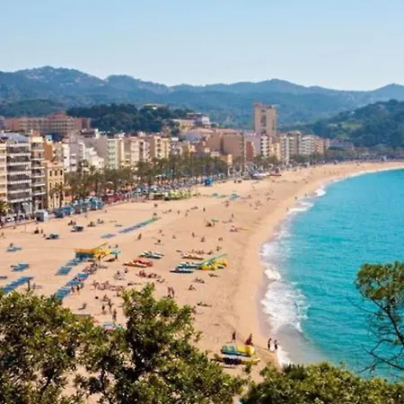 In - 104833 Lloret de Mar